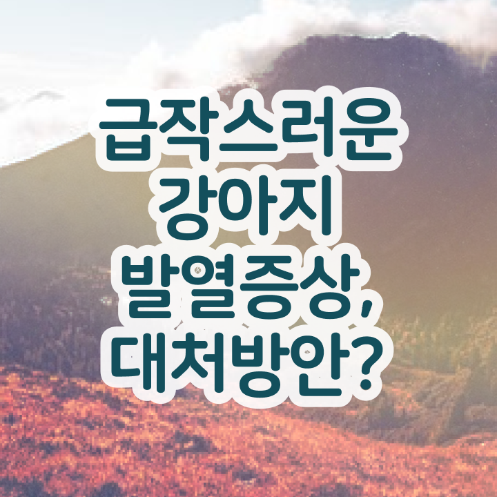  반려견훈련사자격증 , 반려동물관리사 자격증 하는일, 서비스, 핵심 정보 정리