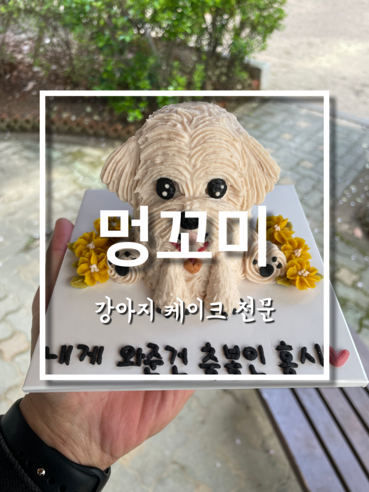 울산 강아지 생일선물용 수제 강아지케이크 멍꼬미