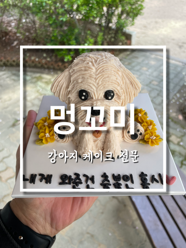 울산 강아지 생일선물용 수제 강아지케이크 멍꼬미