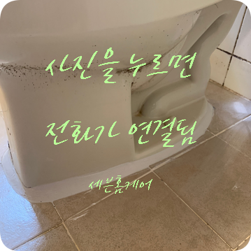 화장실 백시멘트 깨져서 변기가 움직여 보수