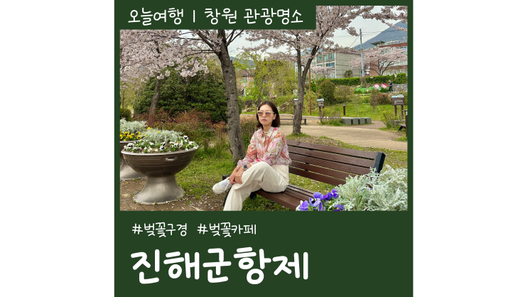 당일 버스여행 진해 군항제 혼자 벚꽃구경ㅣ레트로 감성 벚꽃카페 진해요 당일 버스여행 진해 군항제 혼자 벚꽃구경ㅣ레트로 감성 벚꽃카페 진해요