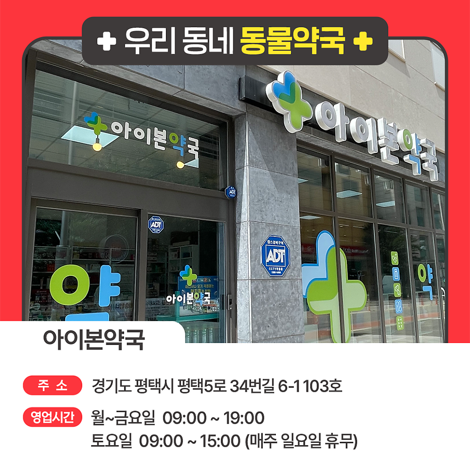 아이본약국 사진 1
