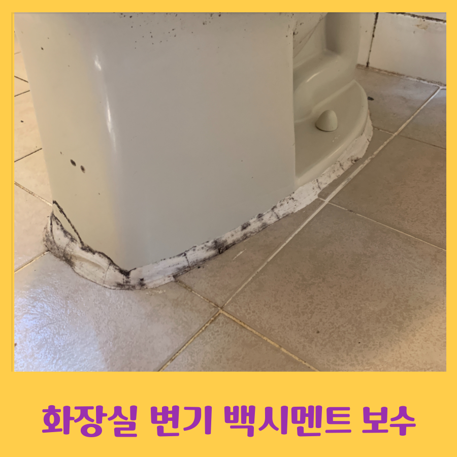 화장실 백시멘트 깨져서 변기가 움직여 보수