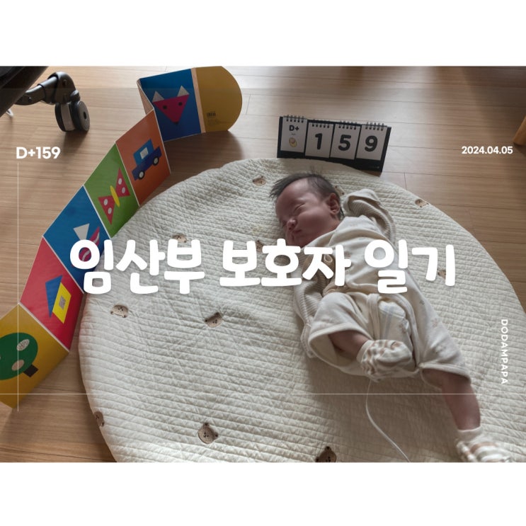 와이프와 사전 투표 열심히 당근 구매 D+159일 와이프와 사전 투표 열심히 당근 구매 D+159일