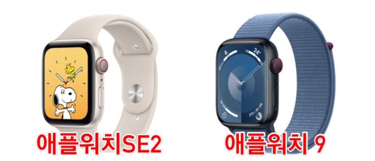  [Q&A] 중고 애플워치 SE2 Vs. 애플워치 8, 9 : 어느걸 살까요? (for 여자 고등학생 / 중고거래 팁)