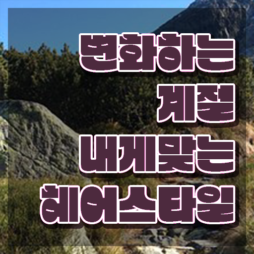  커트지도사 응시자격 확인 , 커트지도사 자격증 무료수강 혜택 정보 와 현황과 채용 정보