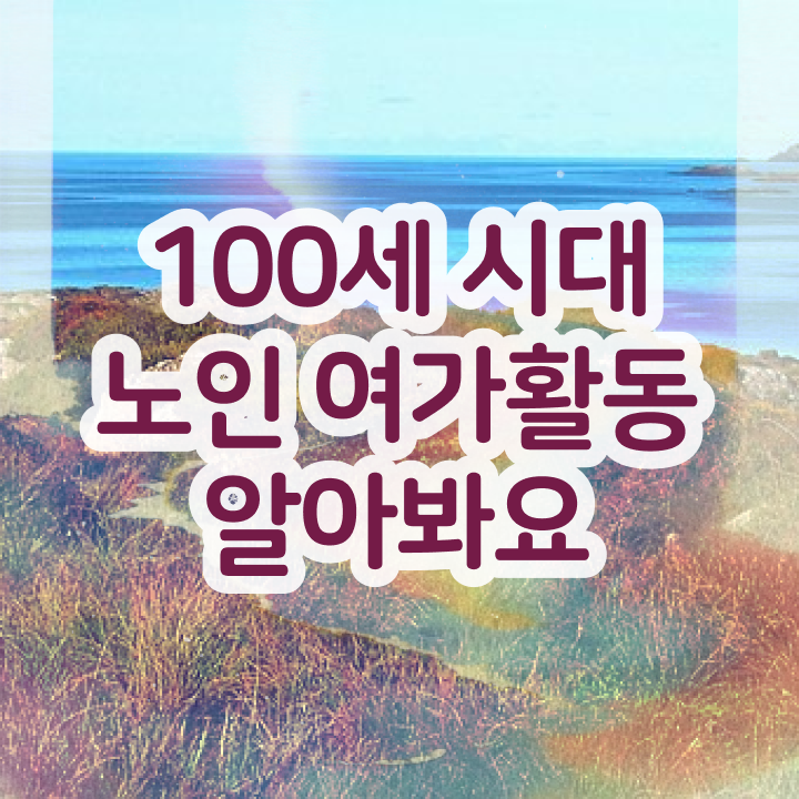  노인여가 활동지도사 , 노인여가활동지도사 자격증 하는 일과 자격증 후기 , 경력 활용 방안