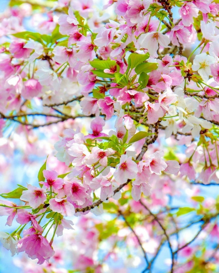   오늘의 생활정보 (2024-04-05, 금)