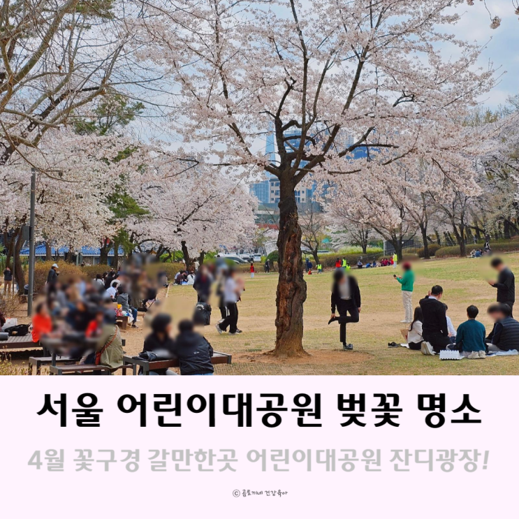 4월 꽃구경 갈만한곳 서울 어린이대공원 벚꽃 명소