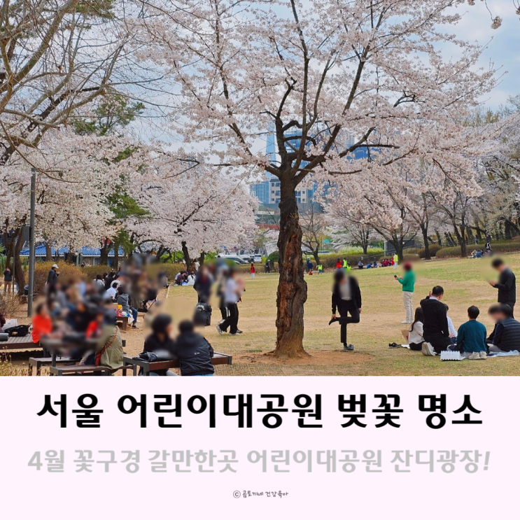 4월 꽃구경 갈만한곳 서울 어린이대공원 벚꽃 명소 4월 꽃구경 갈만한곳 서울 어린이대공원 벚꽃 명소