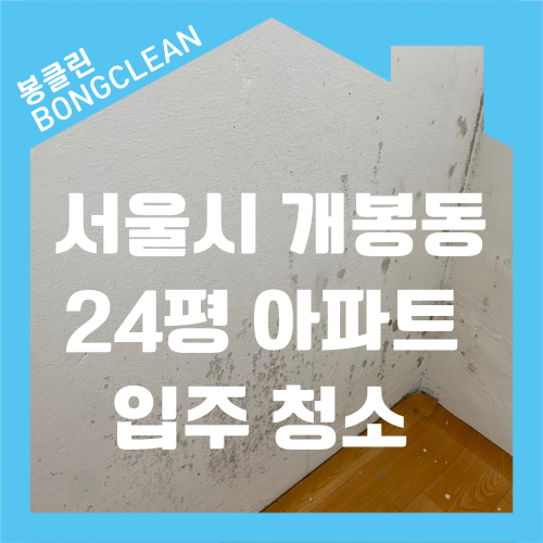  개봉동 아파트 쓰리룸 입주 청소 후기 청소 전문가
