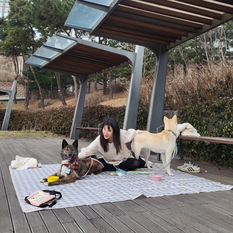   일상기록 / 신대호수공원 피크닉 ️