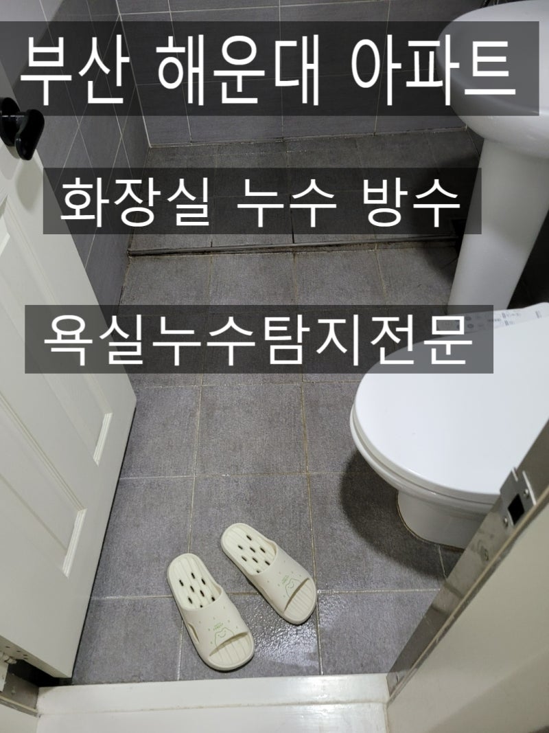 부산 해운대 물누수탐지공사 아파트 천장업체 주택수리 유지관리비