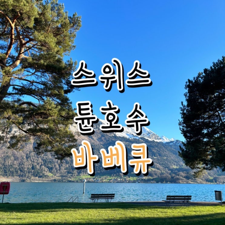  스위스 호수 바베큐 튠호수 무료 바베큐 텐트밖은 유럽 유해진 수영장소 가는 방법 위치 공유