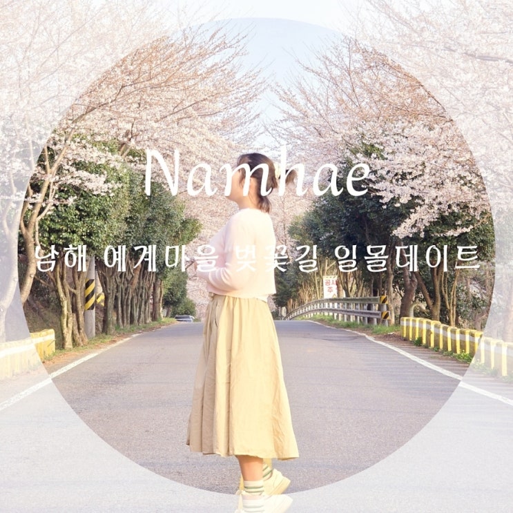  남해 예계마을 벚꽃길+일몰 추천! 스포츠파크 다리 벚꽃, 성명초등학교 유채꽃