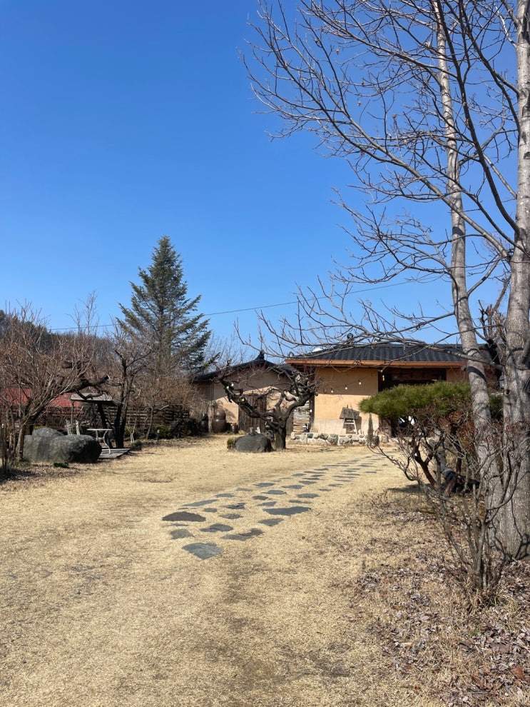 충주 한정식 현지인 맛집 /고즈넉한 분위기 식당/ 한옥식당 실희원 : 뽕잎밥 정식