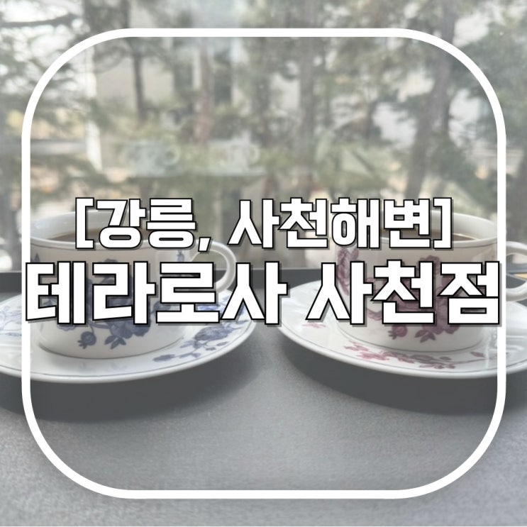  [강릉, 사천해변] 테라로사 사천점 / 강릉여행(3) - 내돈내산 오션뷰 소나무뷰 갈 거면 시간순삭 주의할 것