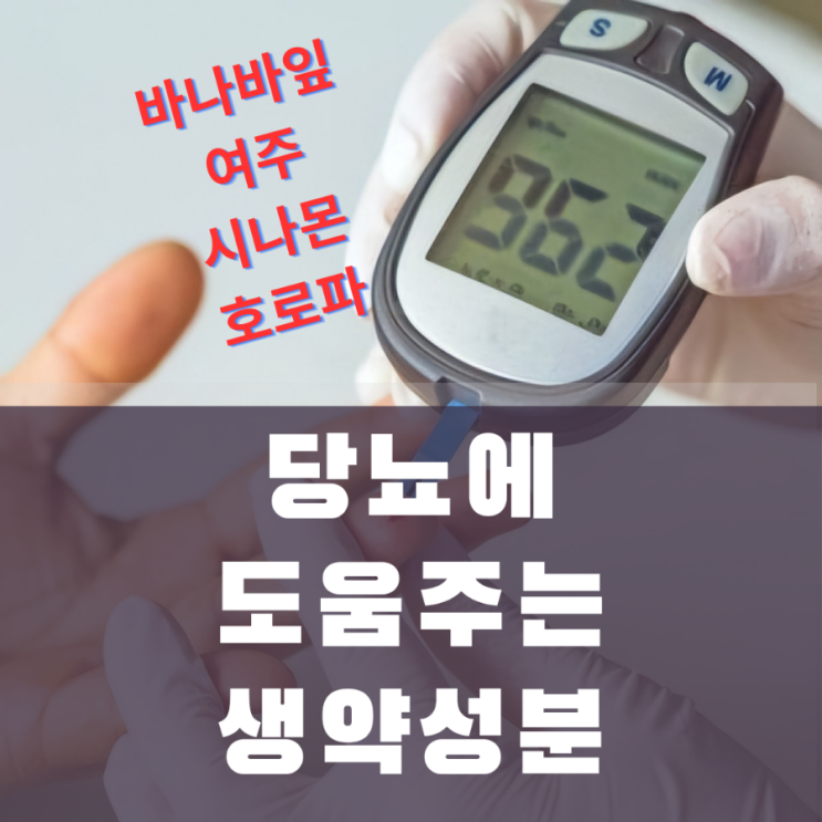  공복혈당을 낮추고 당뇨를 예방하는 검증된 영양제