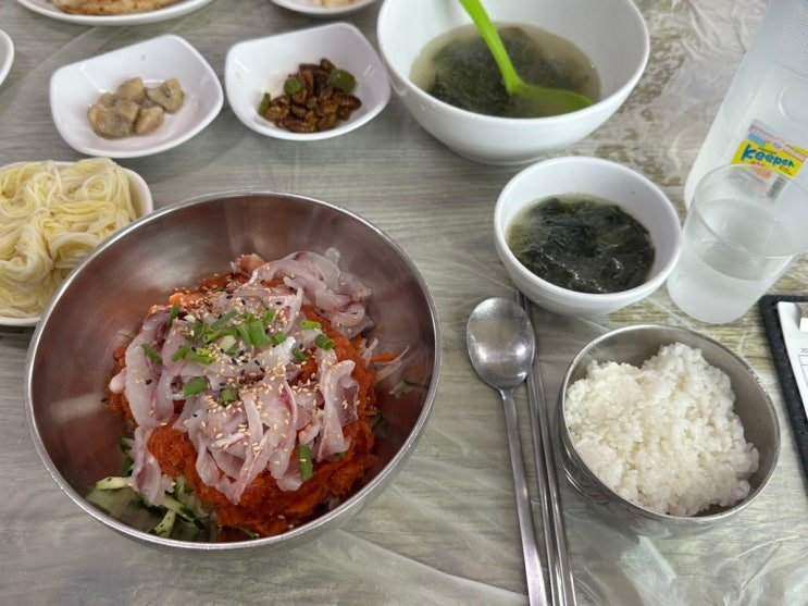  울산 동구 주전 물회 맛집 : 동남횟집 (내돈내산)