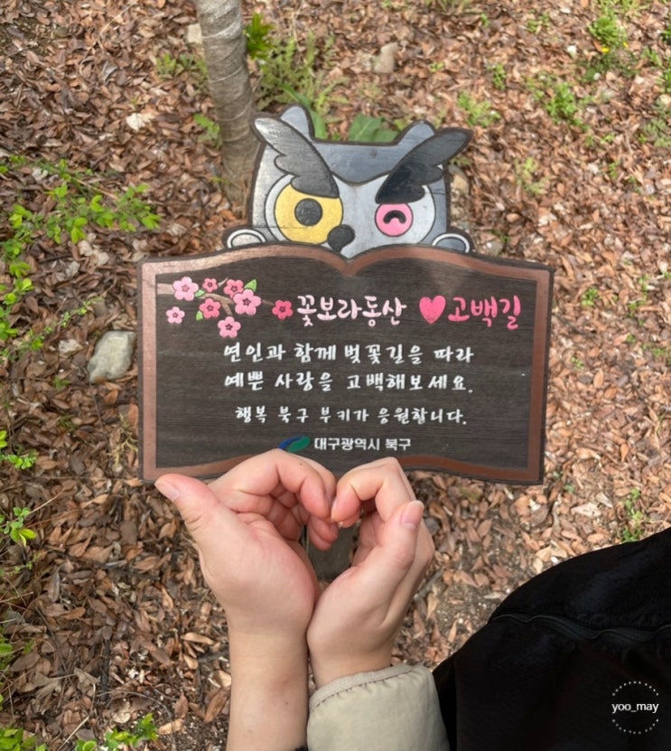  대구 꽃구경 벚꽃 명소 꽃보라동산 데이트