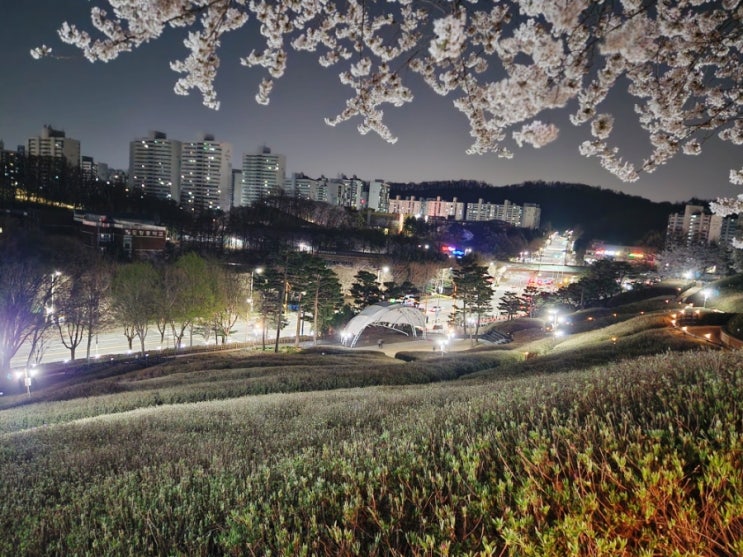 2024 군포 철쭉동산 FESTIVAL 달빛 벚꽃 철쭉 축제