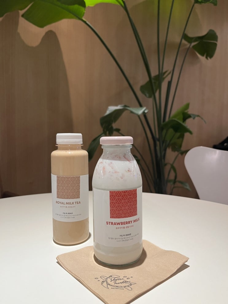  대구 동성로 반월당역 근처 카페 딸기라떼 밀크티가 맛있는 슬로우터틀