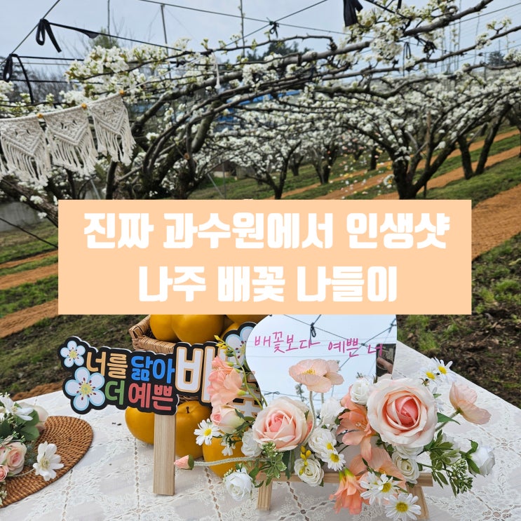  나주축제 나주배꽃나들이 나주배박물관 행사 포토존 체험부스와 먹거리!