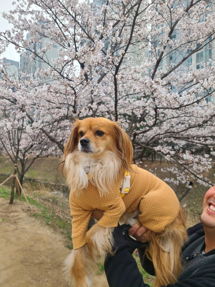 헤매보자. 다 해보자. 그냥 해보는 거지 뭐.
