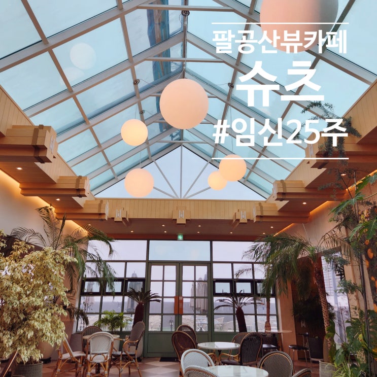  팔공산신상카페 슈츠 대구데이트 뷰좋은 모임장소 추천