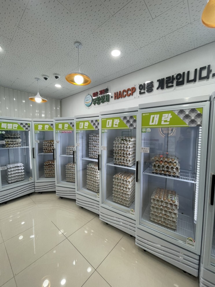  24시 무인 좋은계란할인점 고양 향동점