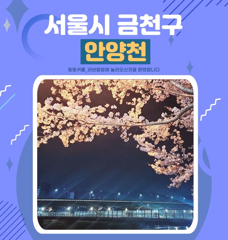 금천구 안양천 벚꽃 명소 feat. 안양천에서 3년 연속 벚꽃 즐긴 후기