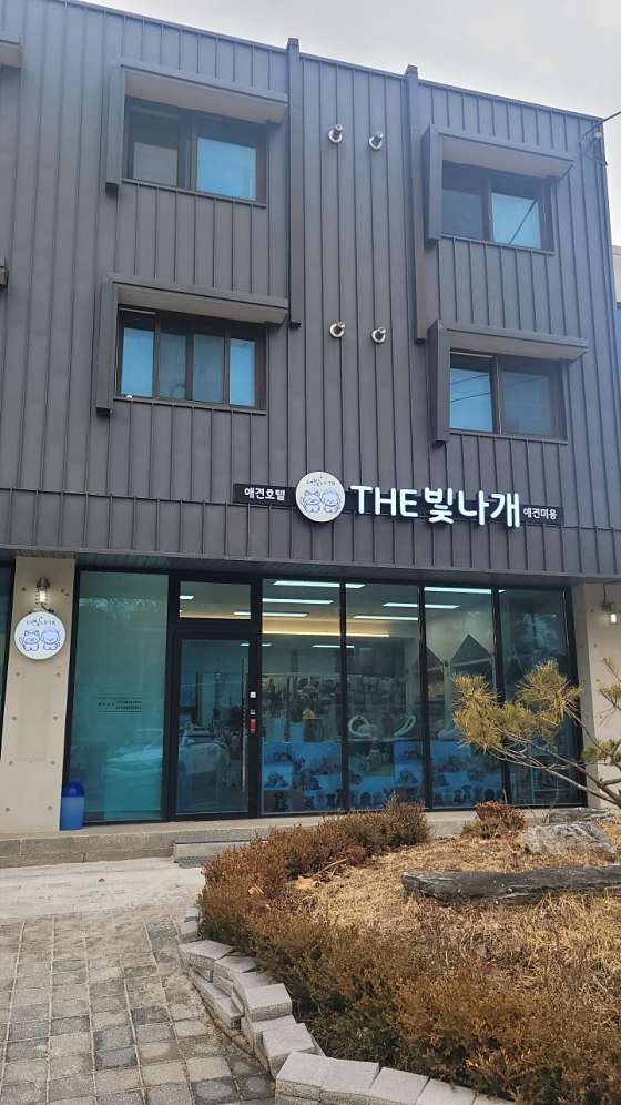 더빛나개