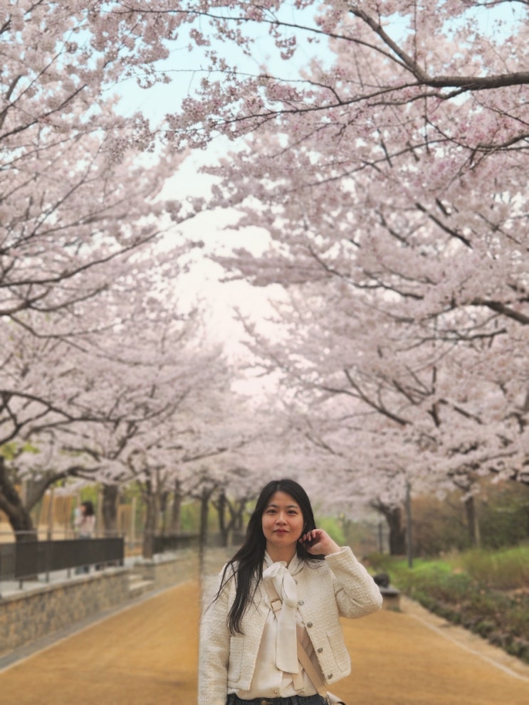  서울 벚꽃명소 데이트 서울숲 사슴 벚꽃 튤립 사진 찍기 좋은 곳 위치 인생샷 포토스팟