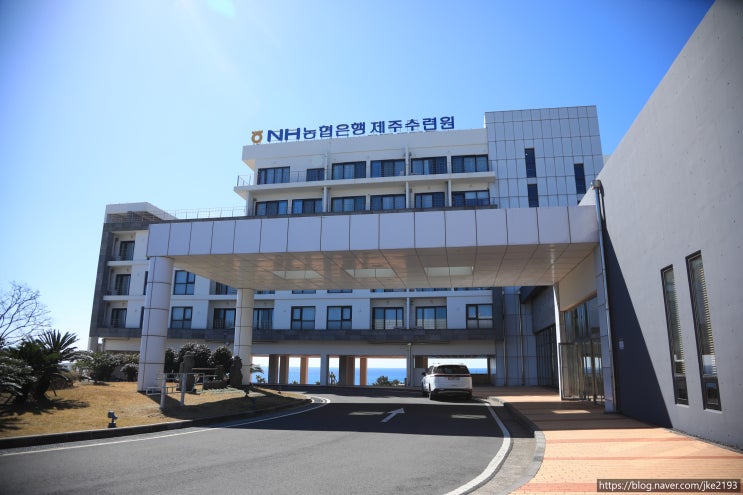  제주도 서귀포 숙소-NH 농협은행 제주수련원 예약방법, 숙박후기, 내부시설, 조식 등등