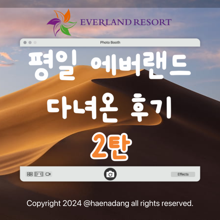 평일 에버랜드 후기 2탄 | 주토피아  | 사파리월드 | 사파리월드 버스 트램 | 사파리월드 웨이팅 대기 | 육식동물 | 사파리월드 시간