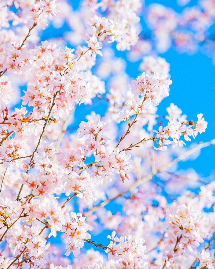   오늘의 생활정보 (2024-04-06, 토)