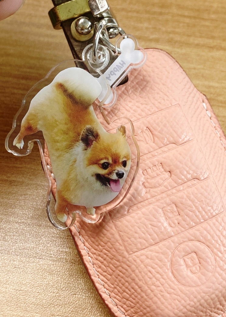  [다이노펫] 반려동물 강아지 아크릴키링 제작했어요!