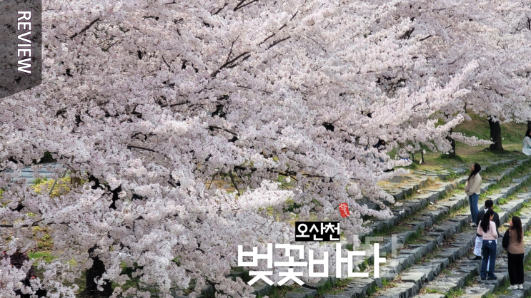 오산천 벚꽃 _ 자전거 타고 벚꽃구경 ^^ _ 시선강탈 !