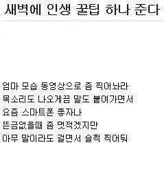  인생 꿀팁