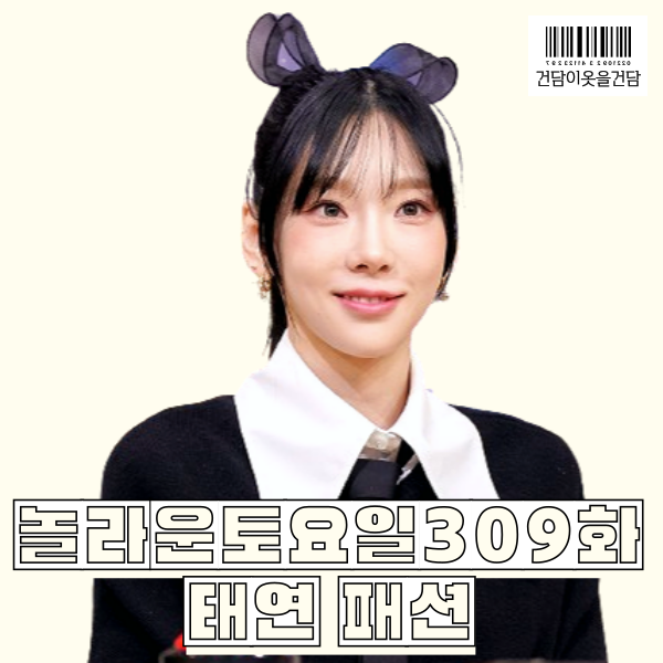  놀라운토요일 309화 태연 패션 _ 귀걸이 꽃니트스웨터 가방 구두 옷 정보