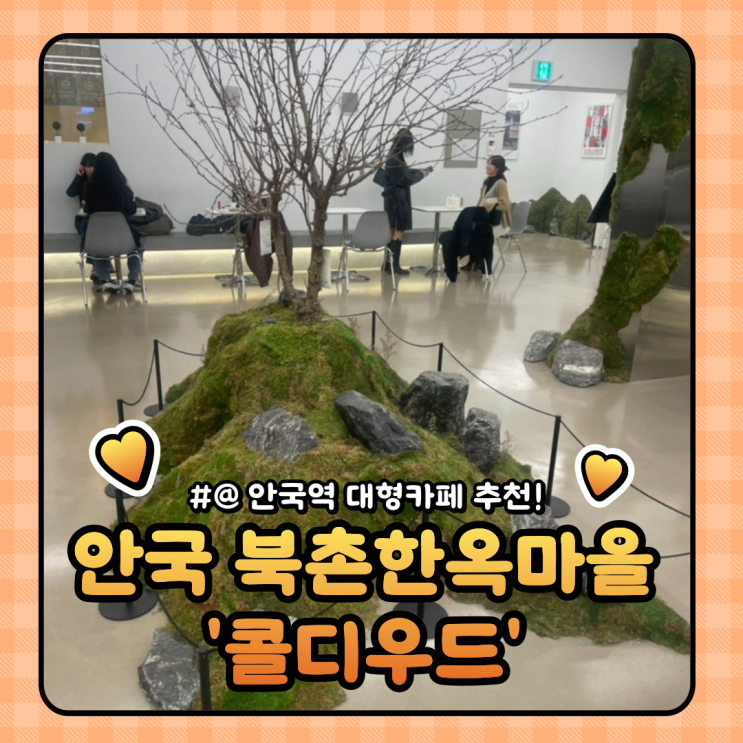  안국역 삼청동 애견동반 카페 : 콜디우드에서 인생샷 건지기