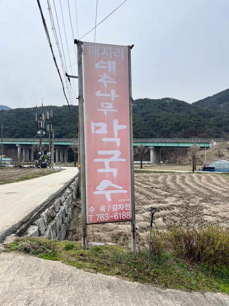  언제먹어도 맛있는! 원주 매지리  <대추나무막국수>, (무침수육, 비빔막국수)
