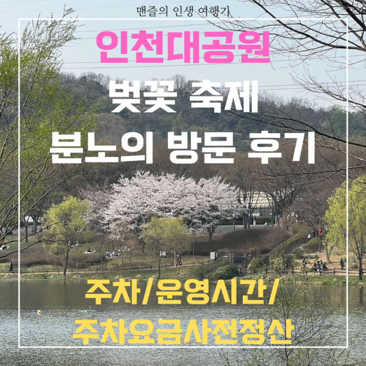  240406 인천대공원 벚꽃 축제 분노의 방문 후기(주차/운영시간/주차요금사전정산)