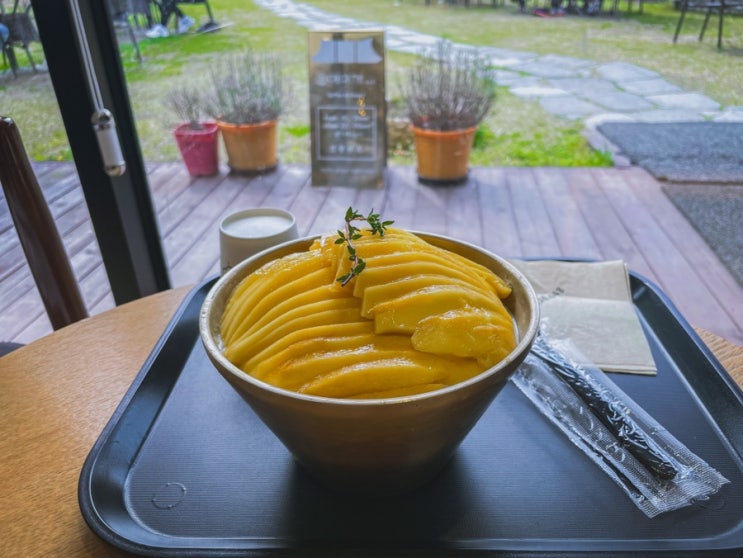 [대전 외삼동]대전 근교 애견동반 야외 카페 예이제448, 벚꽃 뷰에 빙수 맛집이라고!?