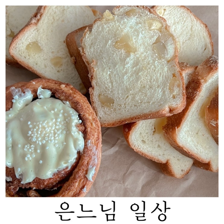  [은느님 일상]천방지축 어리둥절 빙글빙글 돌아가는 구찌의 하루