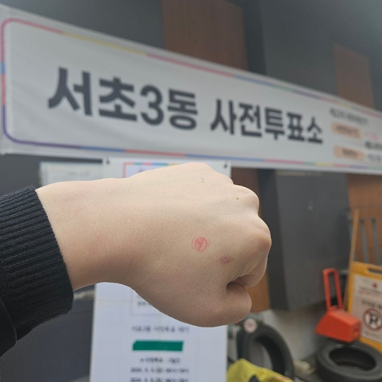  신분증 두고왔을때 투표하는 방법 (feat.신분증 없이 사전투표 후기)