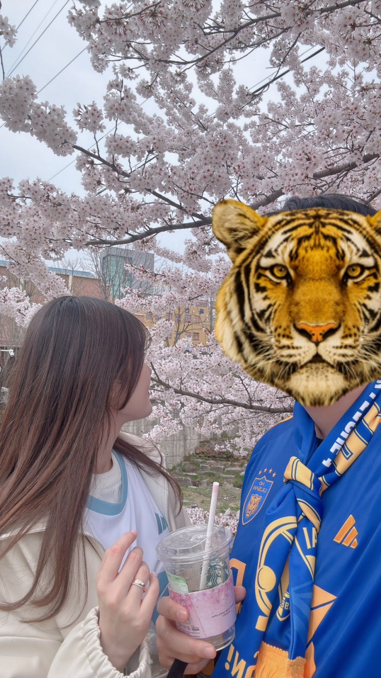 [K리그] 6R 울산HD vs <b>수원</b>FC <b>홈경기</b> 직관일기