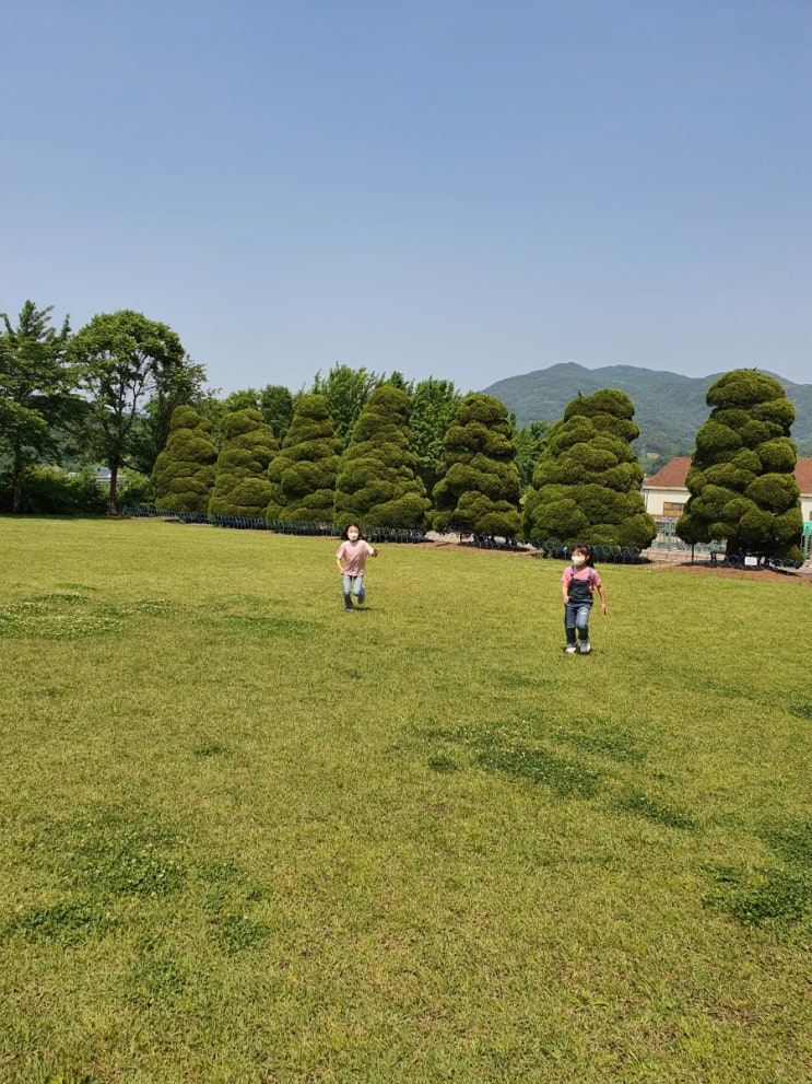  푸바오친구 반달곰들이  사는 세종 베어트리파크