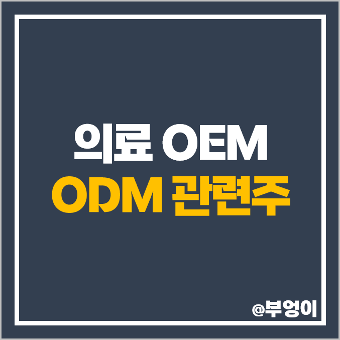 의류 사업 OEM ODM 관련주 한세실업 주식 국동 윌비스 주가