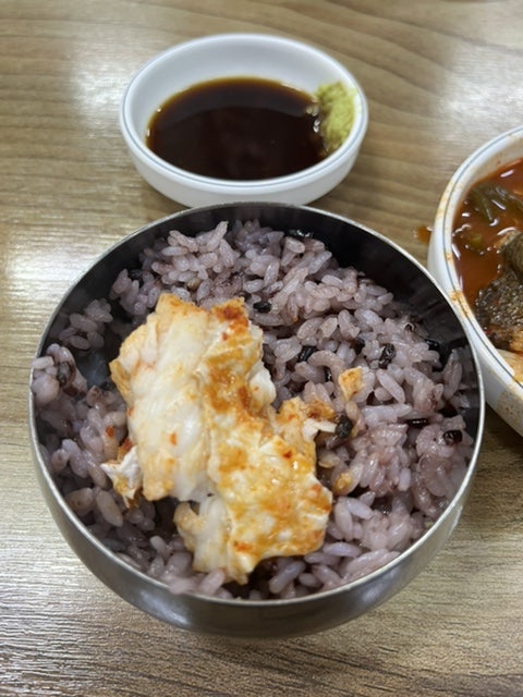 울진곰치 사진 6
